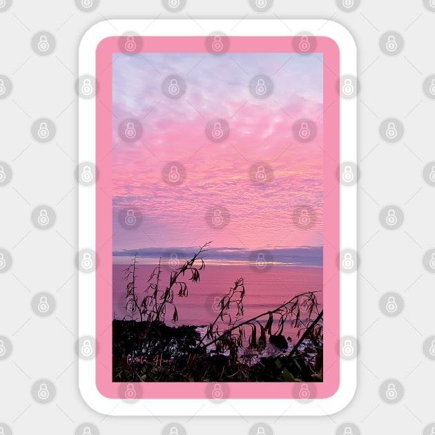 Pink Sunrise Mackerel Sky Sticker by Mount Shots